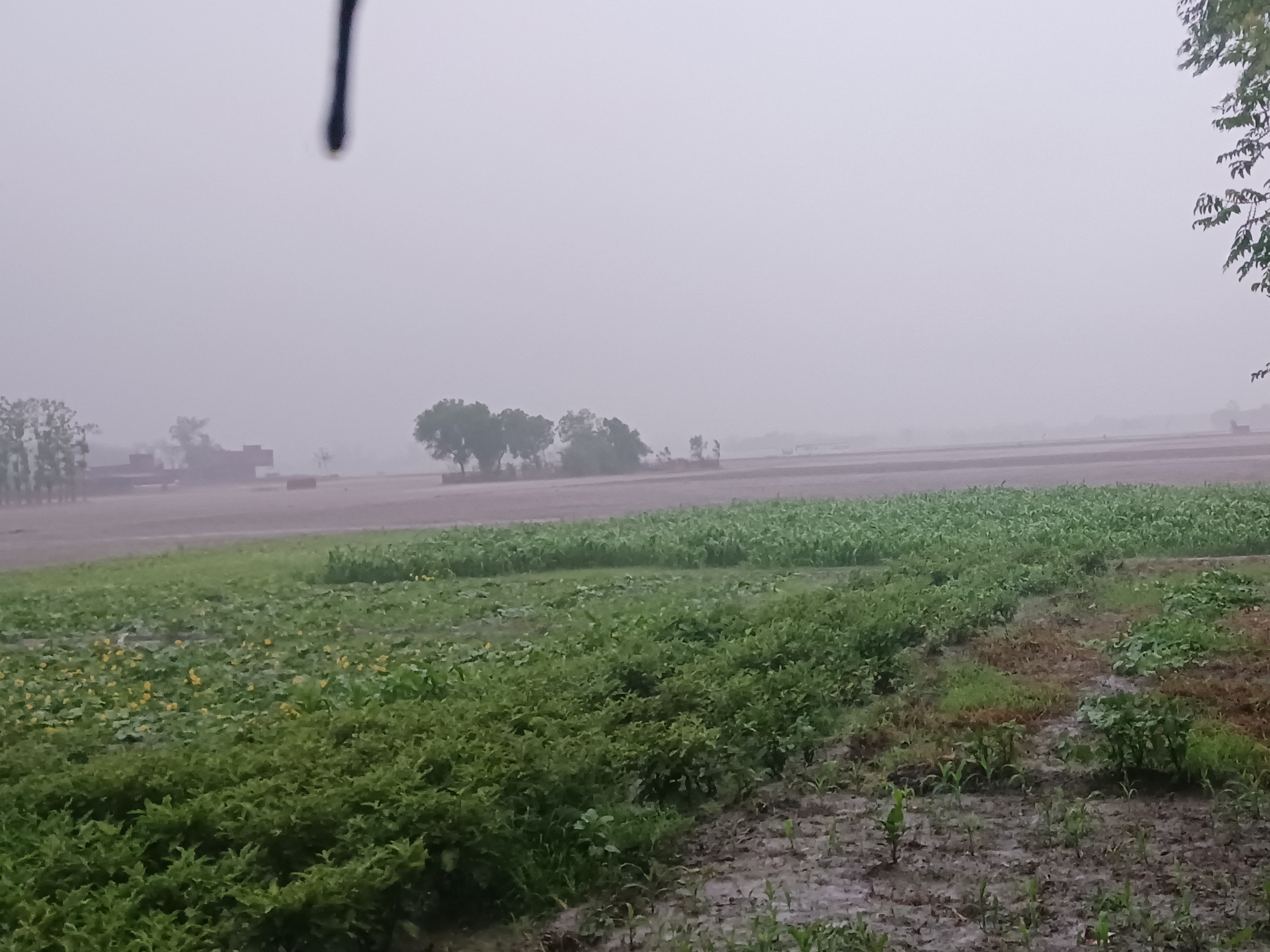 Orange Alert Issued for Storms